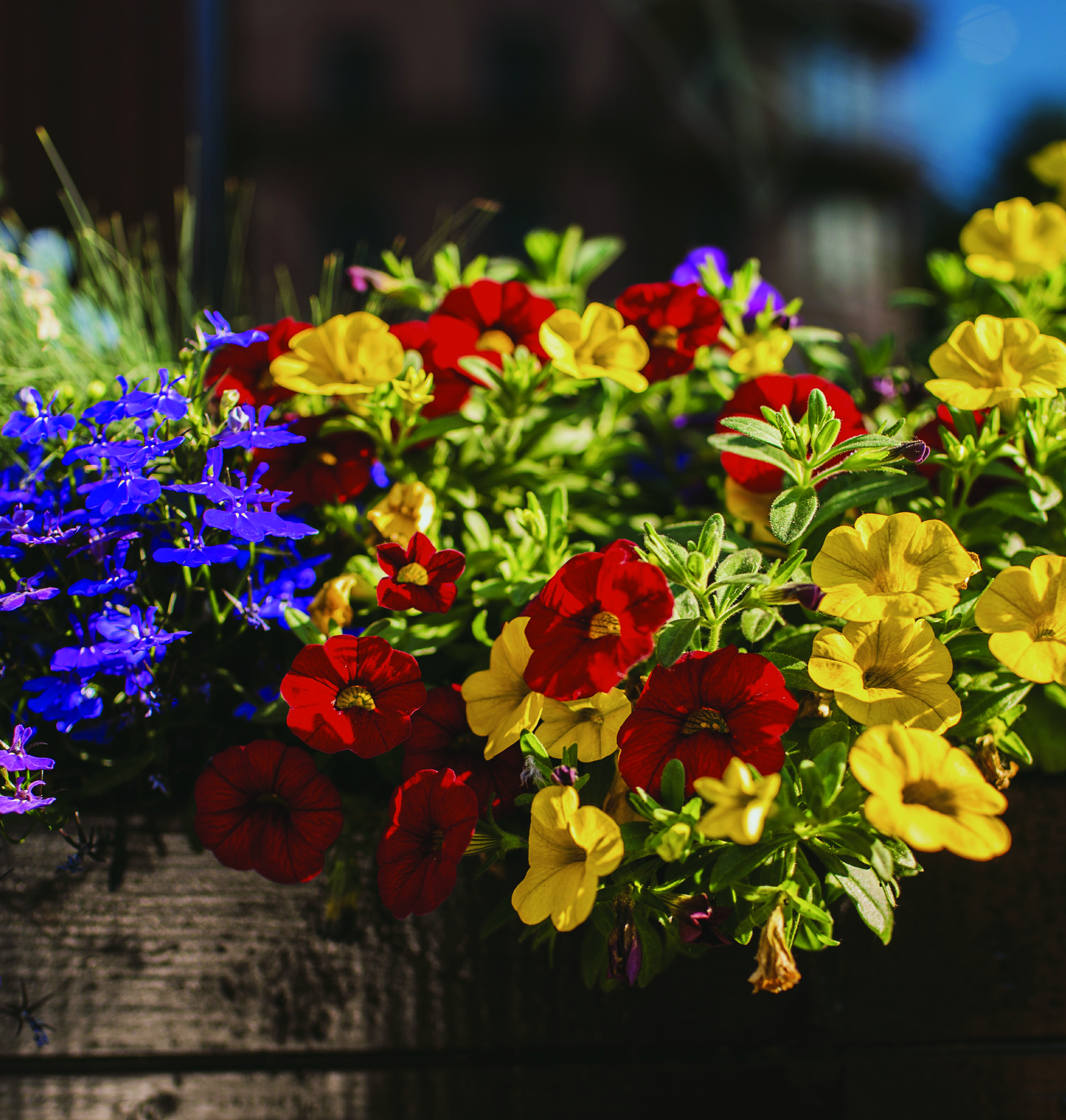 Gärtnerei Gruber - GB Gartencenter GmbH & Co. KG